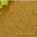 Preis von Yellow Broomcorn Millet